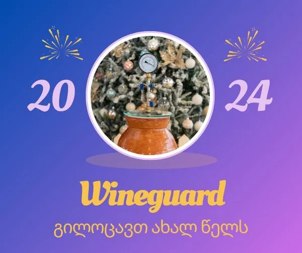 🎉WineGuard გილოცავთ შობა-ახალ წელს!!!🎉